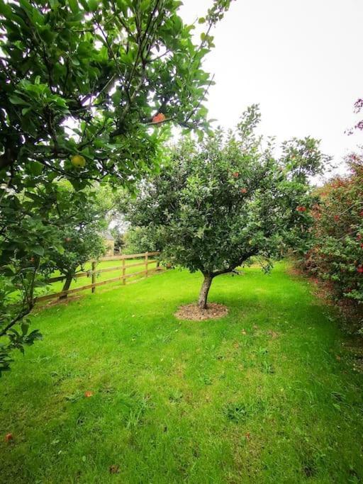 Orchard Cottage Дингъл Екстериор снимка