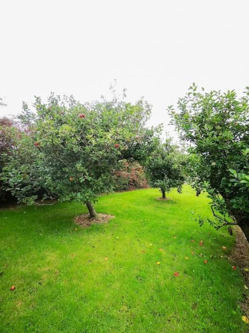Orchard Cottage Дингъл Екстериор снимка